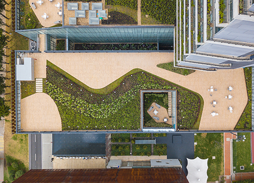 Coberturas vegetales como solución natural de infraestructura