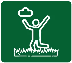 Icono 5