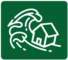 Icono 6