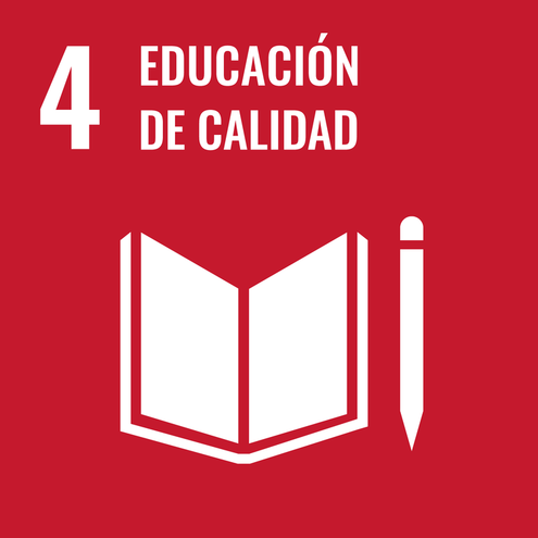 SDG icon
