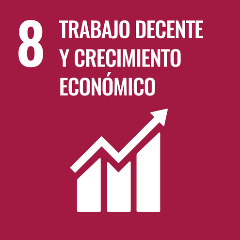 SDG icon