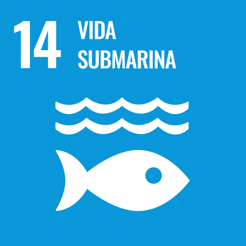 SDG icon