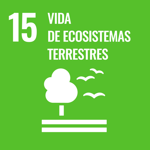 SDG icon