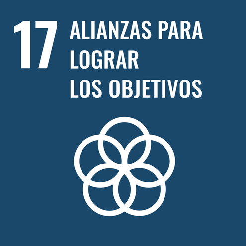 SDG icon