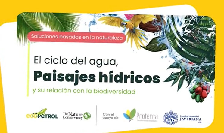 El ciclo del agua, paisajes hídricos y su relación con la biodiversidad