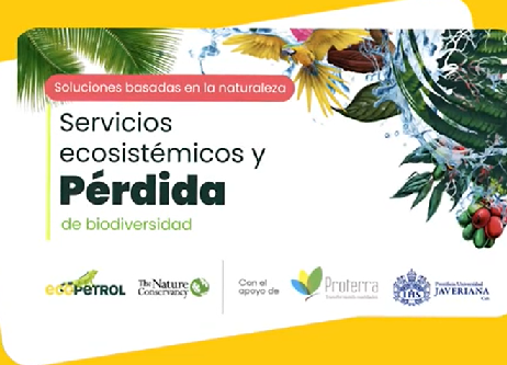 Servicios ecosistémicos y pérdida de biodiversidad