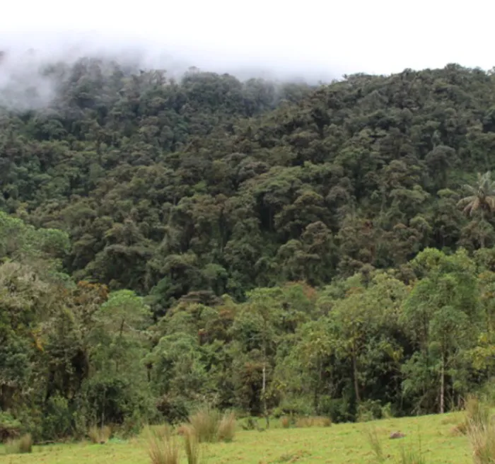 Ecoturismo comunitario pionero en Colombia y reconocido internacionalmente