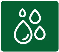Icono 5