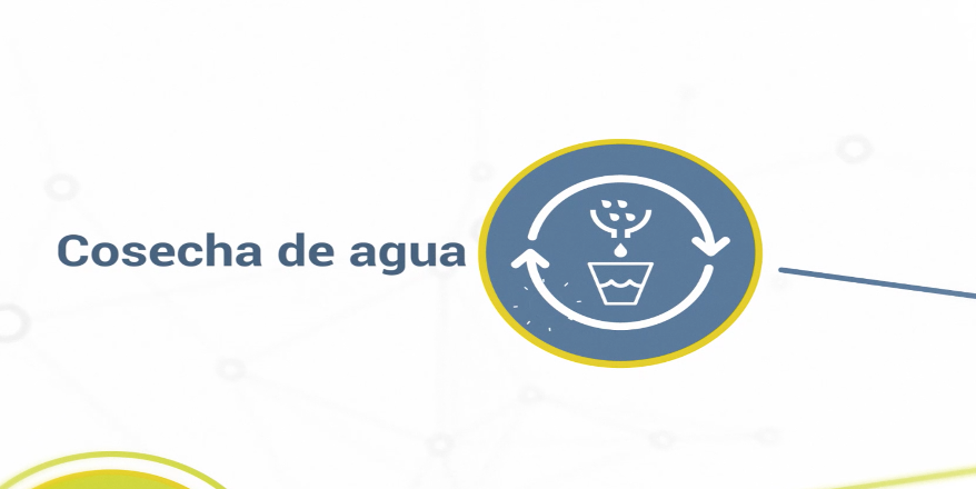 Cosecha de agua