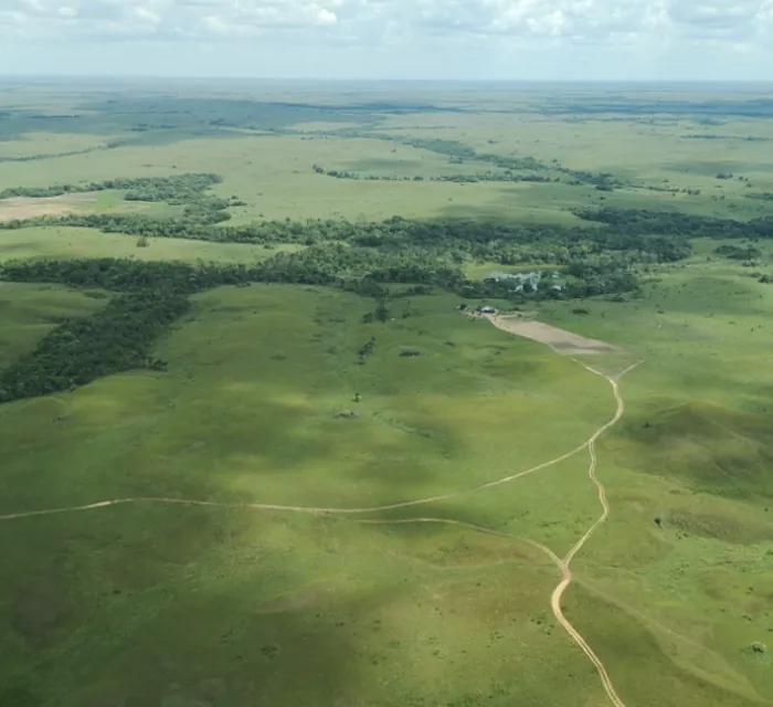 Restauración de humedales para la sustentabilidad de la ganadería familiar en Uruguay.