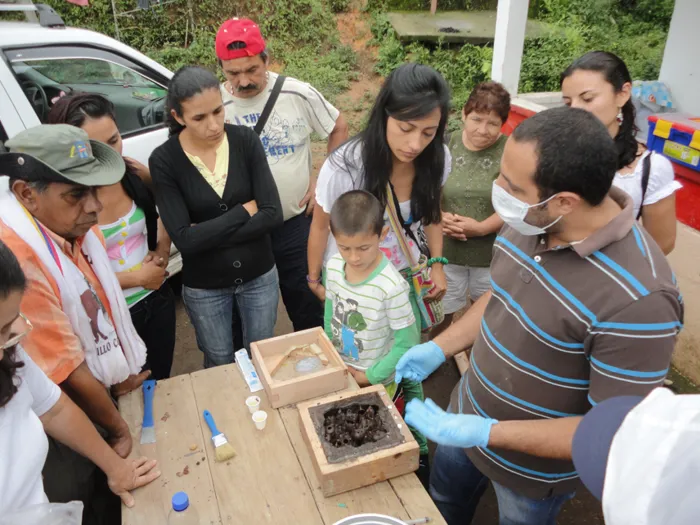img-Meliponicultura sostenible