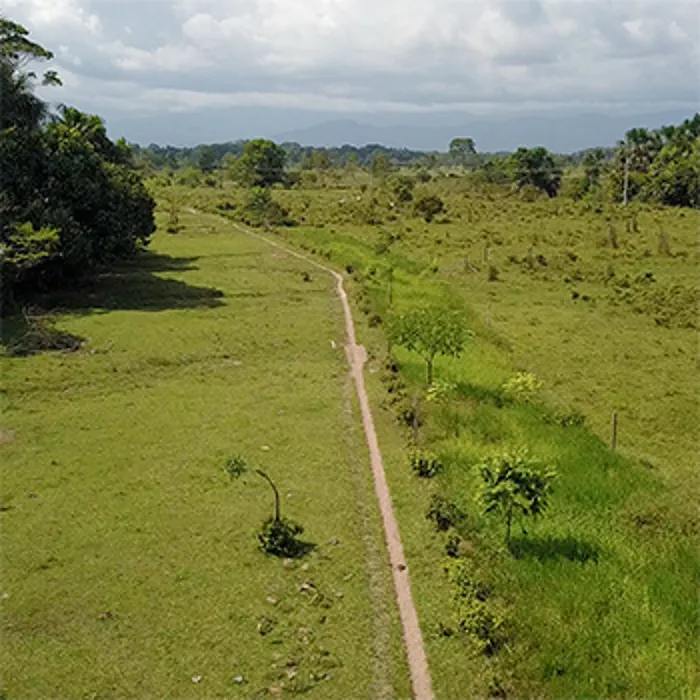 Conexiones que revitalizan el paisaje Amazónico en el Caquetá